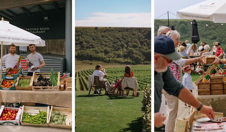 Selection of vineyard imagery