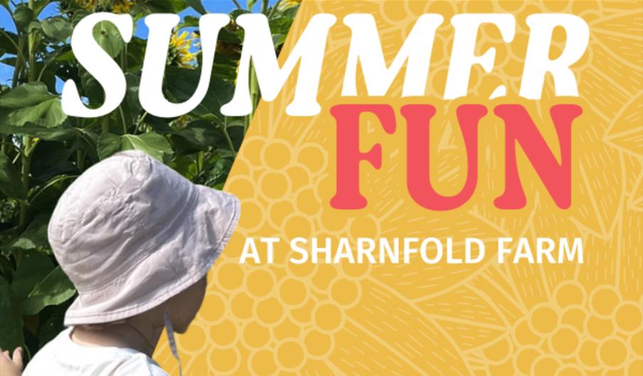 Summer Fun at Sharnfold Farm promotional poster - kid looking out onto sunflower field