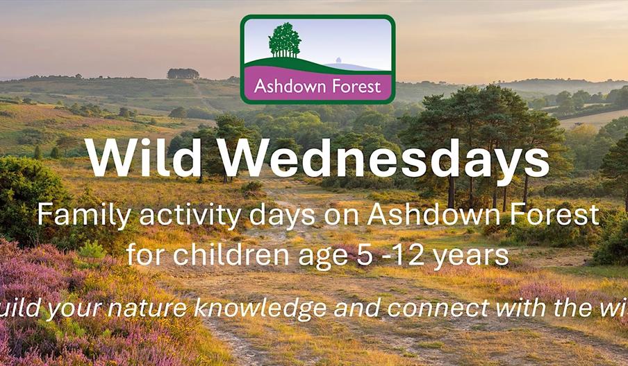 A promotional poster for 'Wild Wednesdays at Ashdown Forest: family activity days for children age 5-12 years' with the landscape of Ashdown Forest as