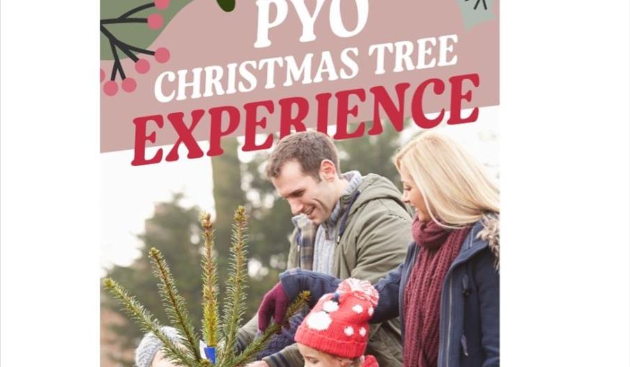 poster of PYO Christmas Tree Experience at Sharnfold Farm