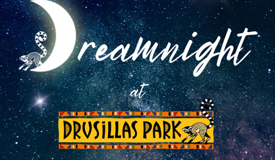 Image of the Dreamnight event poster at Drusillas Park