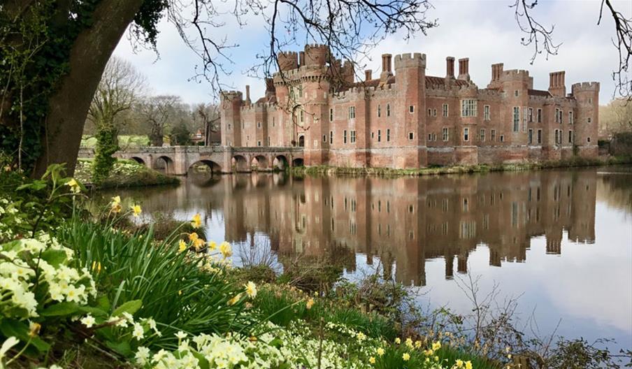 view of the castle over the moat framed by a large tree and yellow flowers