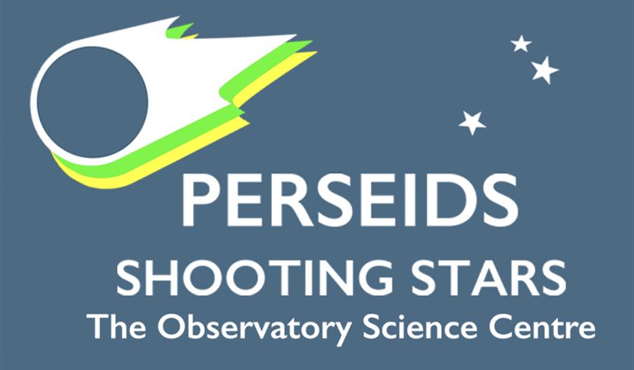 PERSEIDS SHOOTING STARS