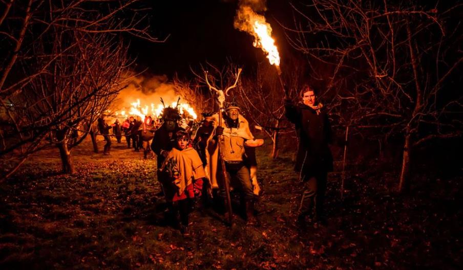 Wassail 2025 at Bignose and Beardy