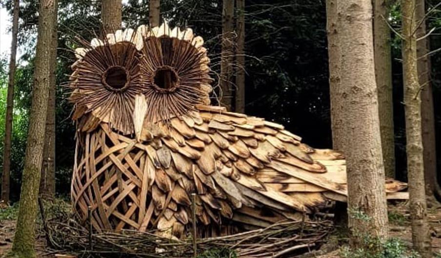 a giant wooden owl, made of scrap material, nestled amidst trees at Wilderness Wood