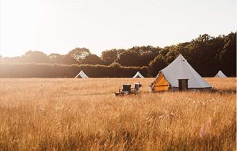 Exterior image of the tents