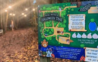 A poster of the Bewl Water Halloween Trail, in the middle of the woods