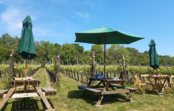 Vineyard with tables and parasols