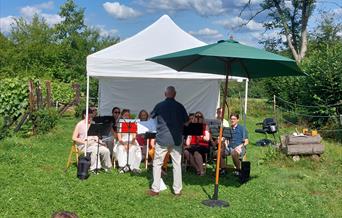 Concert in the Vineyard