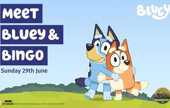 Poster of Bluey and Bingo at Sharnfold