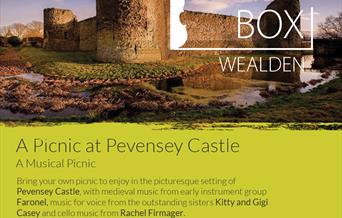 Picnic at Pevensey concert