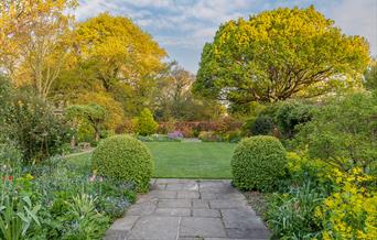 Middle Garden & Oak Tree