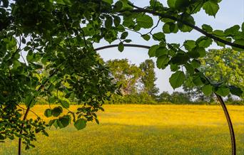A red cartwheel frames the view of a wildflower meadow