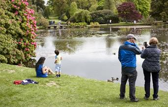 visitors at Sheffield Park lake