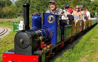 Miniature train, families