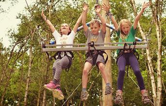 Children on tree swing