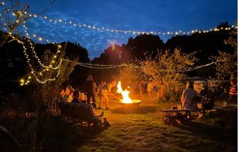 Image of the Pop Up Cider Taps at Bignose & Beardy at night