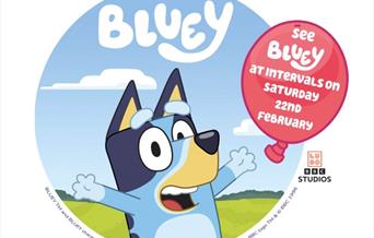 Image of bluey