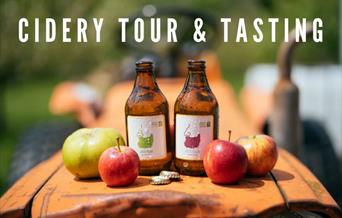 Image of Cider tour and tasting at Bignose and Beardy poster