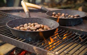 Image of chestnuts roasting at Wilderness Wood