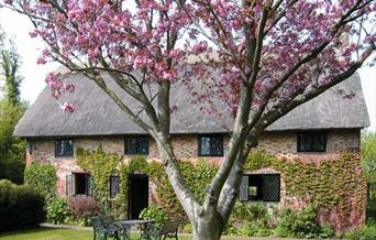 Exterior shot of Danny Cottage