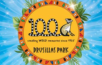 Drusillas 100 years images SQUARE