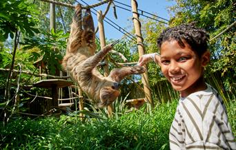 boy with sloth at Drusillas