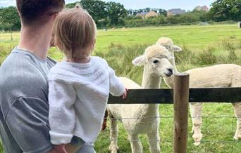 Father and Daughter looking at the farm animals together