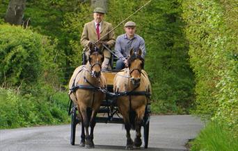 Gotwick Horse Drawn Carriages with two men