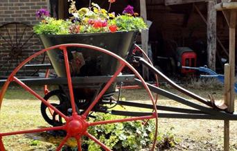 Flowers in old farm machinery from Horam Manor