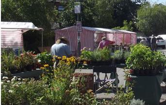 Heathfield Market stands