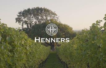 a pathway with vines either side with a white logo in the middle saying henners