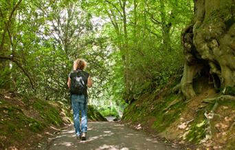 lady walking through woodlands with overhanging green trees and dappled sunlight