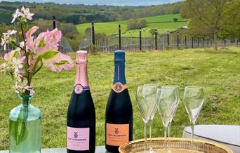 Two bottles of Busi Jacobsohn wine in the vineyard