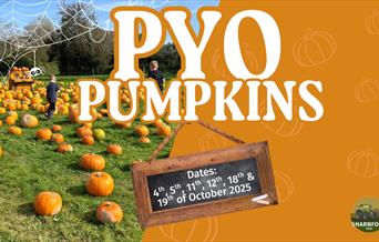 PYO Pumpkin at Sharnfold Farm Poster