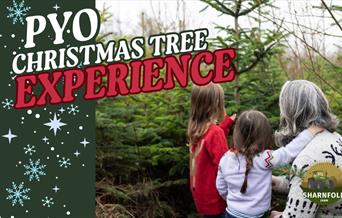 PYO Christmas tree poster