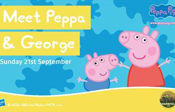 Artwork for Peppa and George meet and greet
