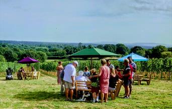 image of the vineyard picnic