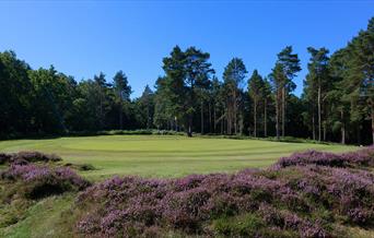 Royal Ashdown Golf 16th hole