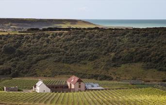 South Downs and the sea from Rathfinny in Sussex