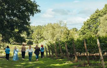 Image of a group walking down the vineyard at Birchden Vineyards on a sunny day