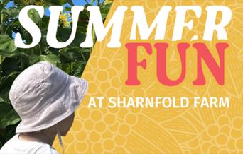 Summer Fun at Sharnfold Farm promotional poster - kid looking out onto sunflower field