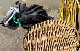 Easter holiday activities for families at Ashdown Forest