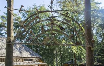 Half Term at Wilderness Wood