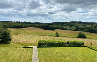 Image of the cherry picker and Vineyard fields in Coe's Farm