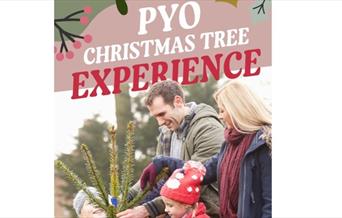 poster of PYO Christmas Tree Experience at Sharnfold Farm