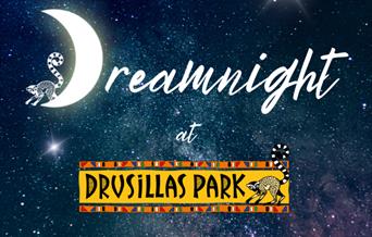 Image of the Dreamnight event poster at Drusillas Park