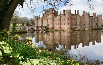 view of the castle over the moat framed by a large tree and yellow flowers