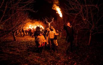 Wassail 2025 at Bignose and Beardy