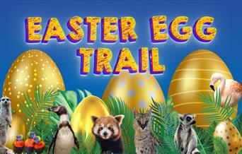 Image of the Easter egg trail poster at Drusillas Park
